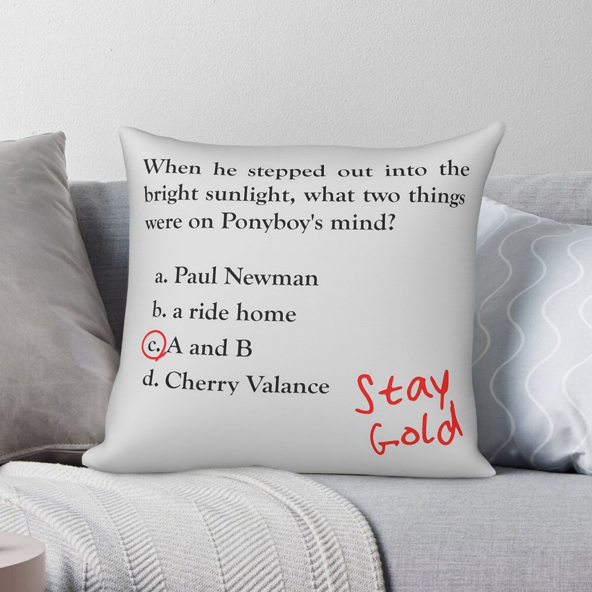 Home Decor Quiz Free - Outsiders Ponyboy Quiz Question Square Pillowcase