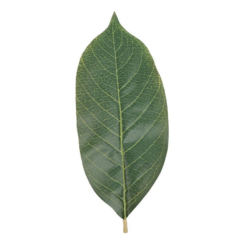 Home Decor Catalog - Artificial Green Magnolia Leaves Pack of