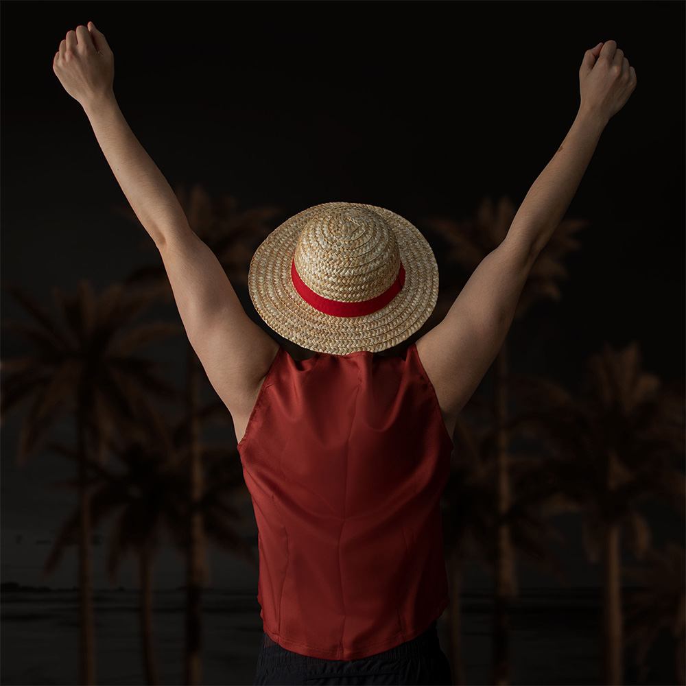 One Piece Officially Licensed  - Home Decor Netflix 评论和价格