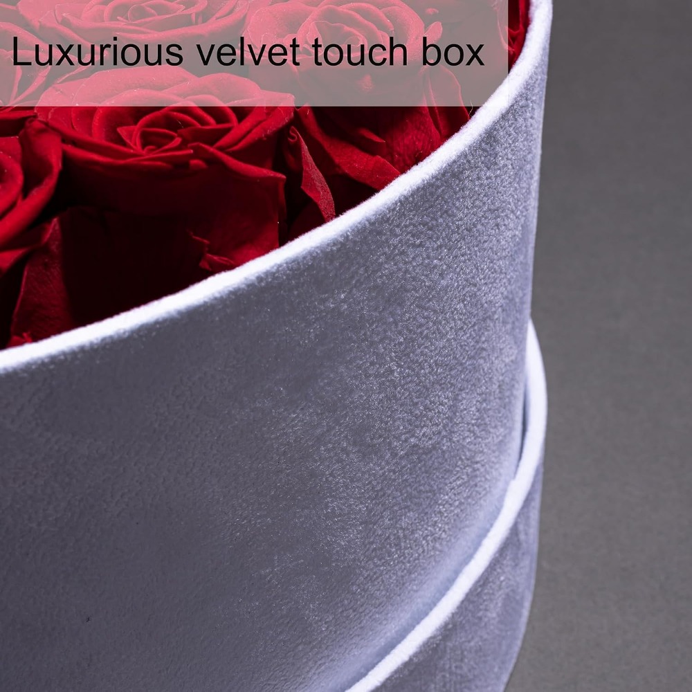 50 Velvet Box Roses, Preserved - Home Decor Tulip 评论和价格