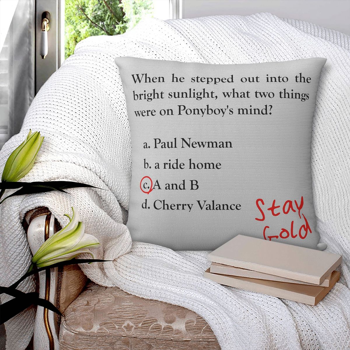 Outsiders Ponyboy Quiz Questio - Home Decor Quiz Free 评论和价格