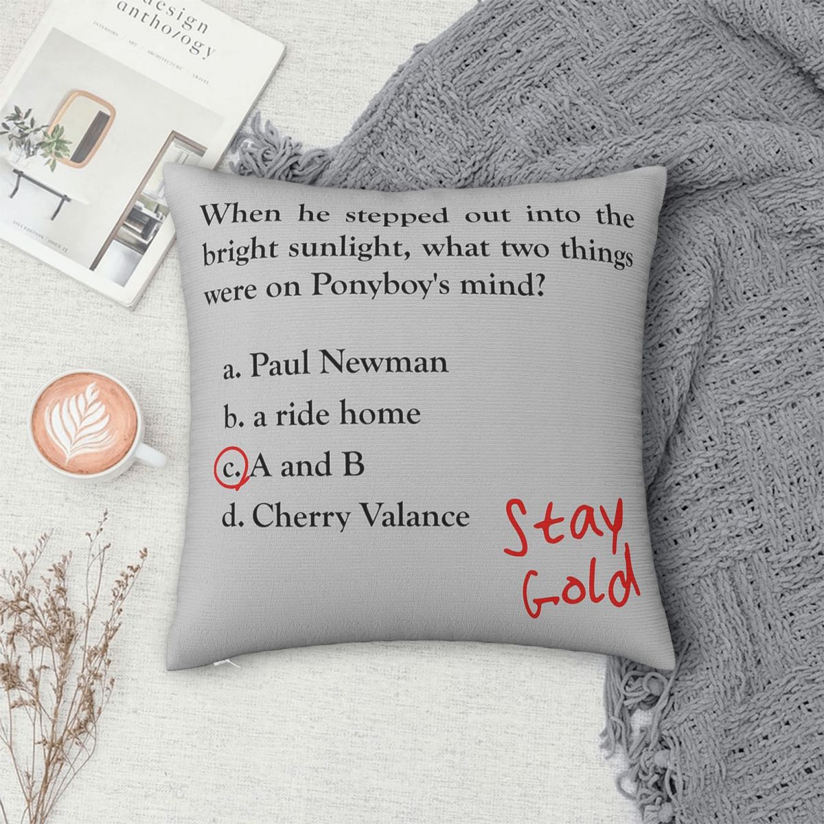Outsiders Ponyboy Quiz Questio - Home Decor Quiz Free 评论和价格