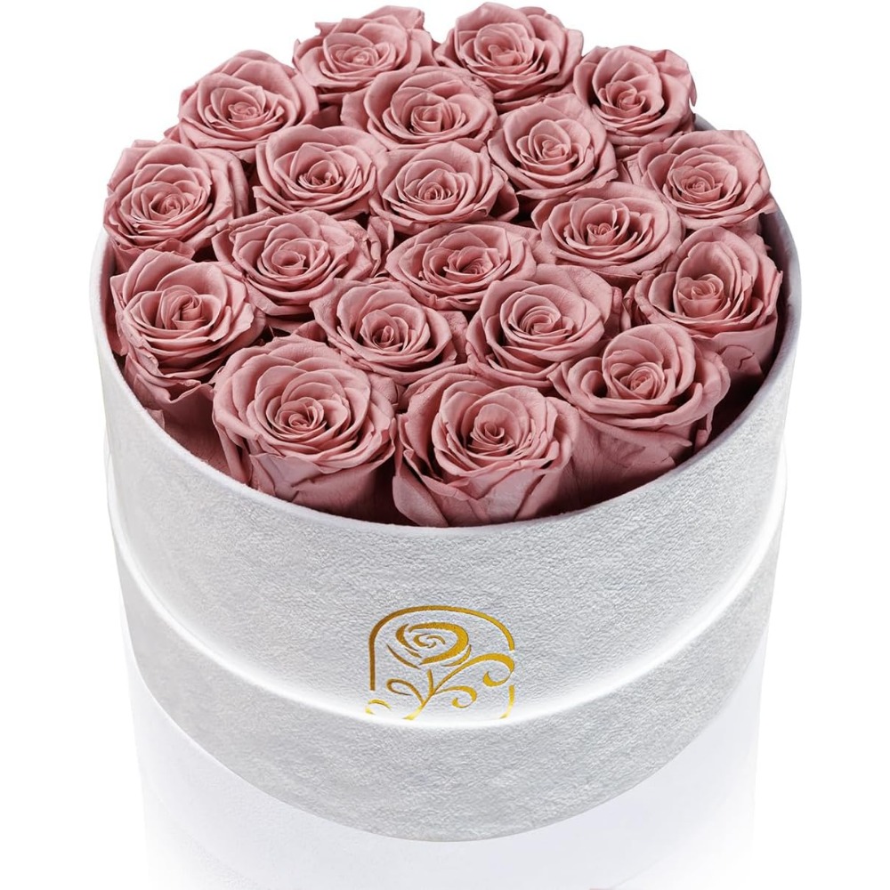 Preserved Roses Velvet Box, La - Home Decor Tulip 评论和价格