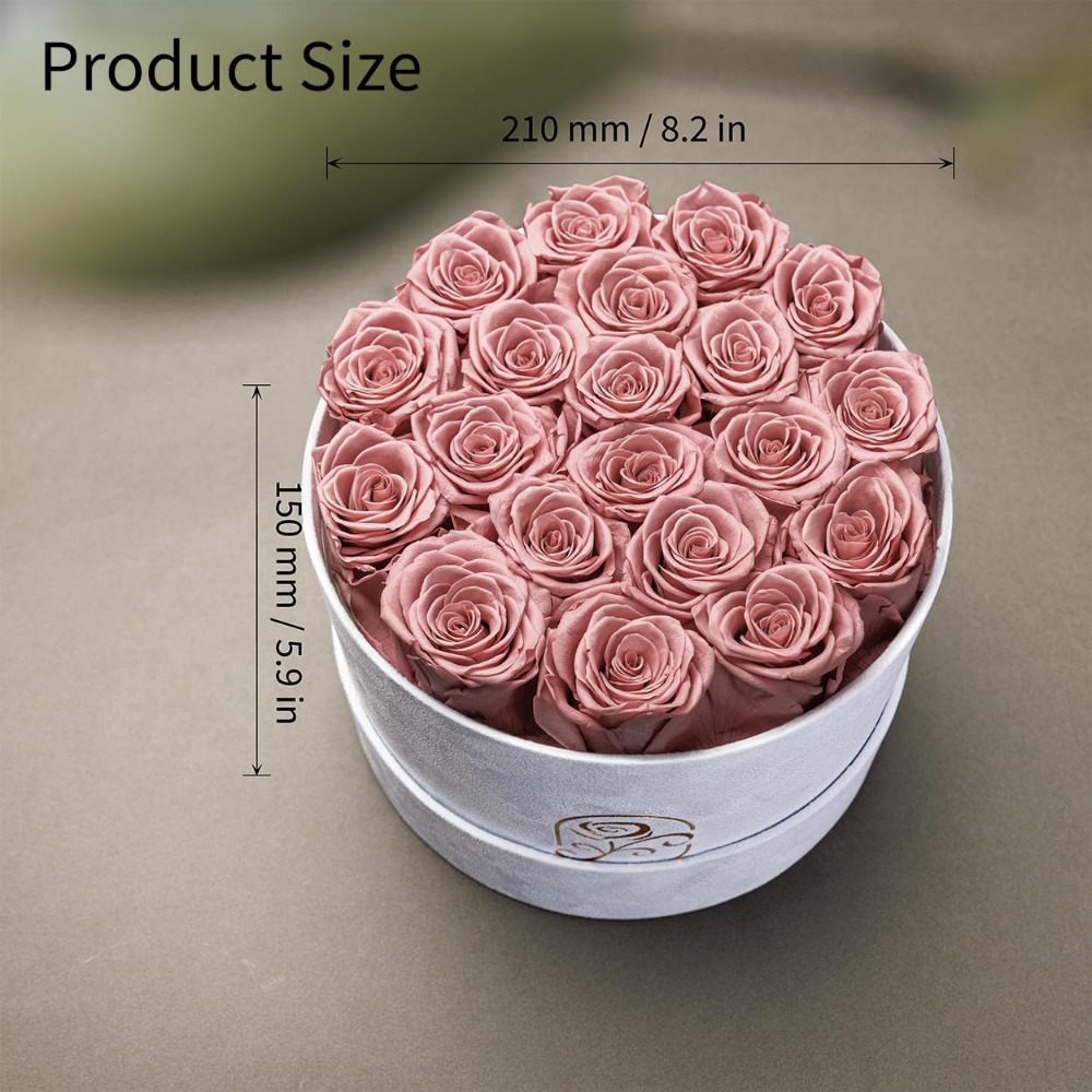 Preserved Roses Velvet Box, La - Home Decor Tulip 评论和价格