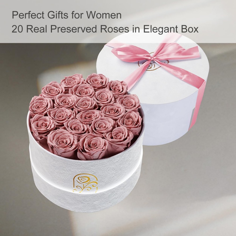 Preserved Roses Velvet Box, La - Home Decor Tulip 评论和价格