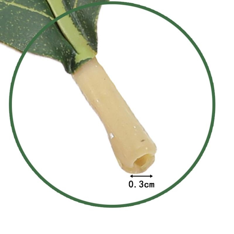 Artificial Green Magnolia Leav - Home Decor Catalog 评论和价格