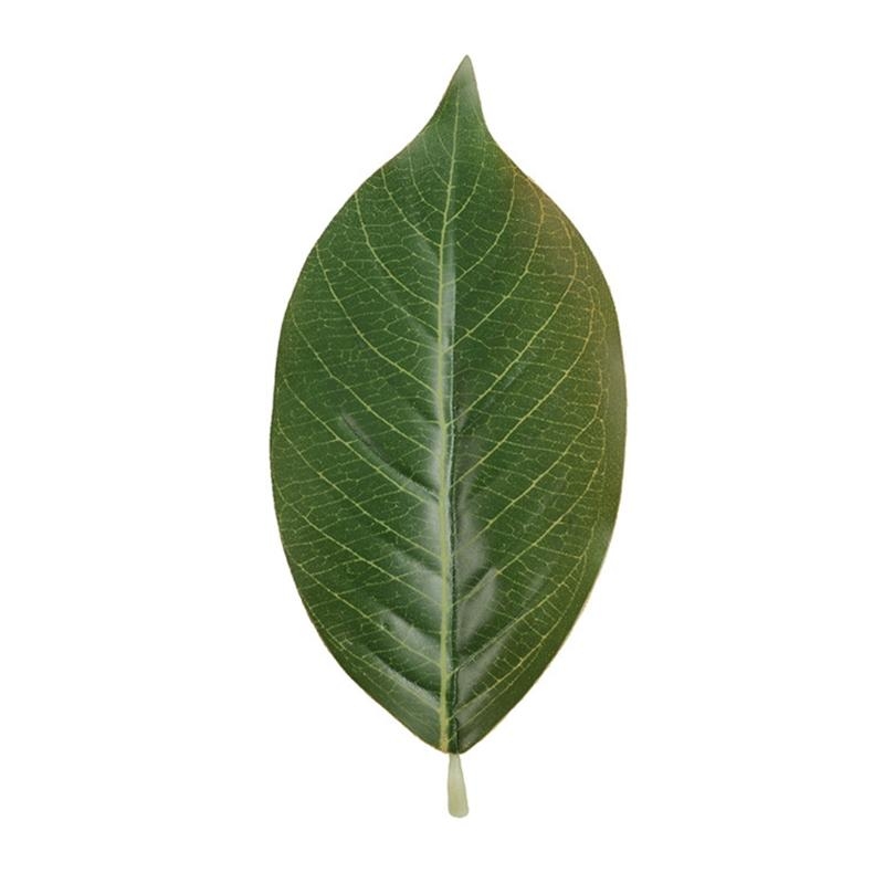 Artificial Green Magnolia Leav - Home Decor Catalog 评论和价格