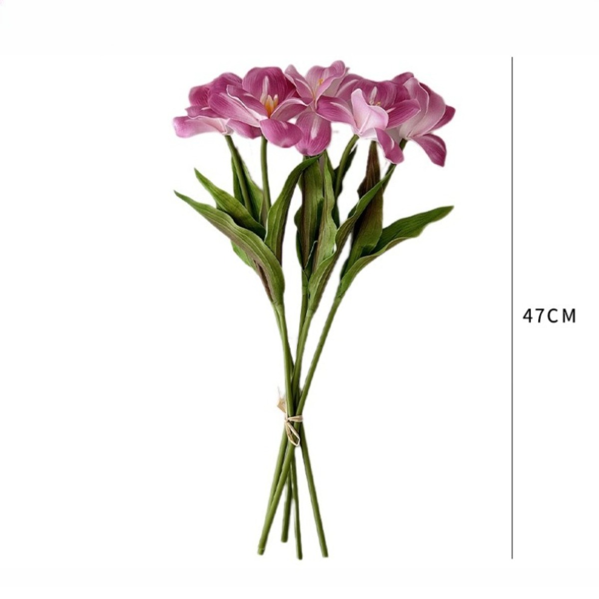 18.5 Inches Single Stem Open T - Home Decor Tulip 评论和价格