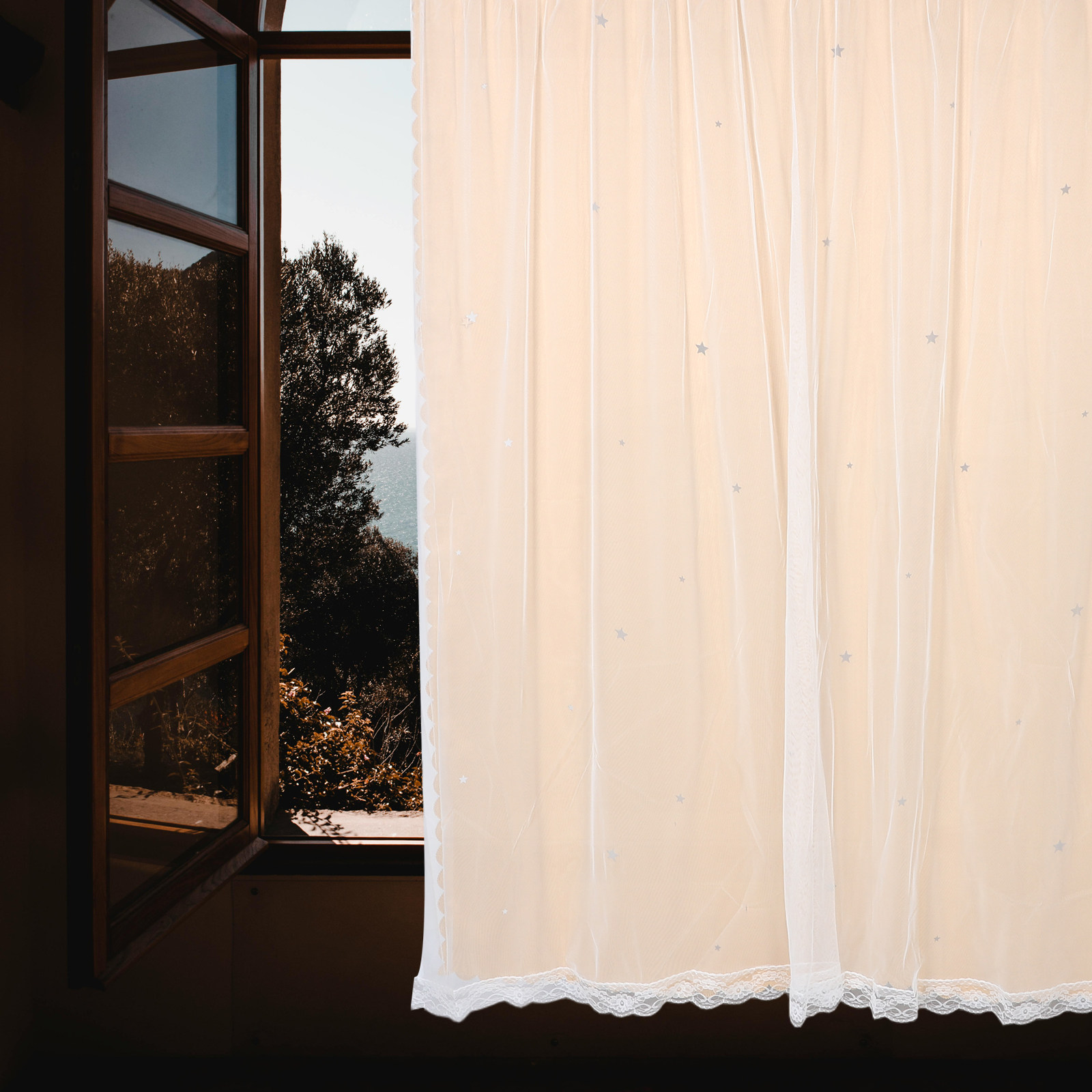 Star Hollow Pattern Blackout C - Home Decor Curtains 评论和价格