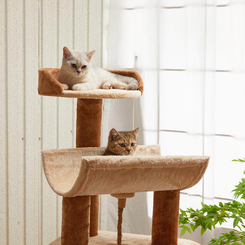 Stairs Bed Things Luxury Cat T - Home Decor Kota 评论和价格