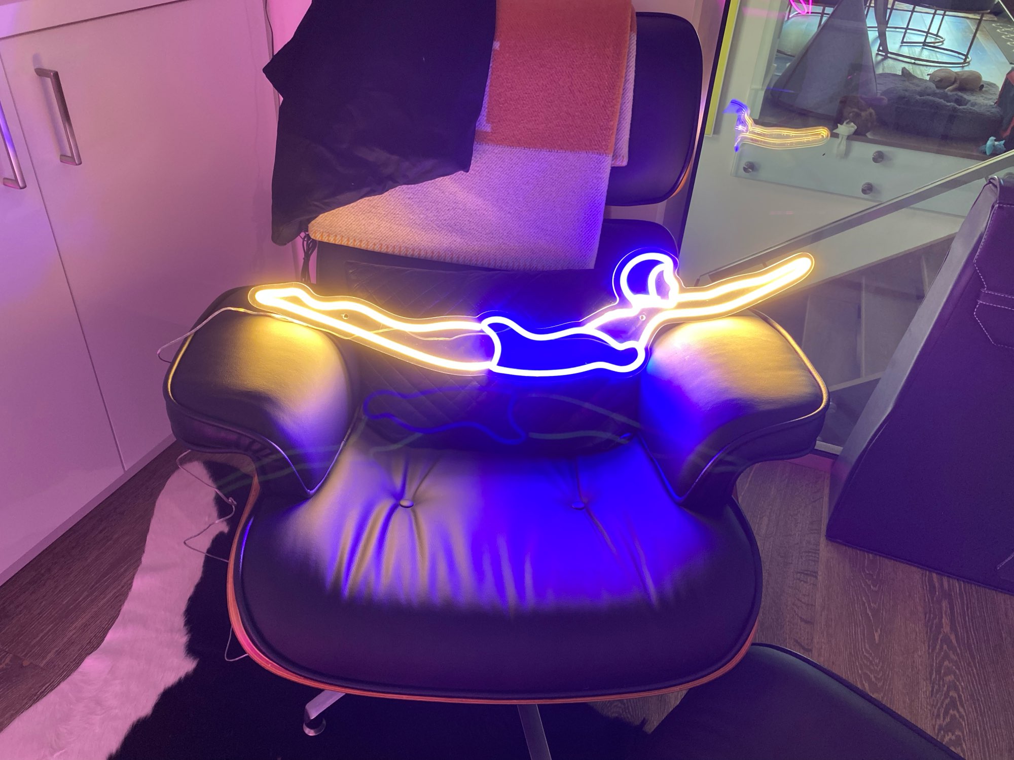 Custom Neon Sign LED Neon Ligh - Home Decor Logo Design 评论和价格
