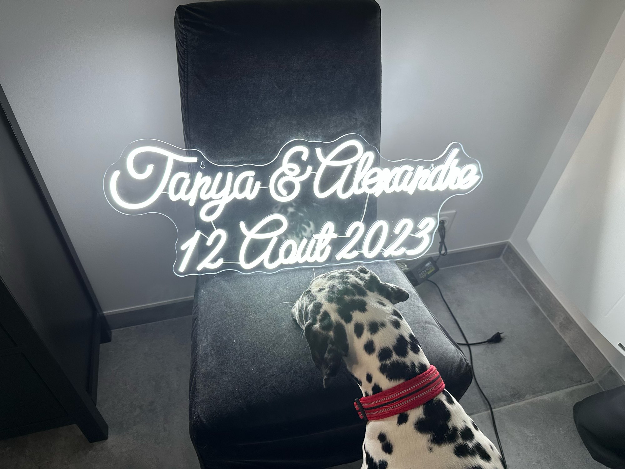 Custom Neon Sign LED Neon Ligh - Home Decor Logo Design 评论和价格