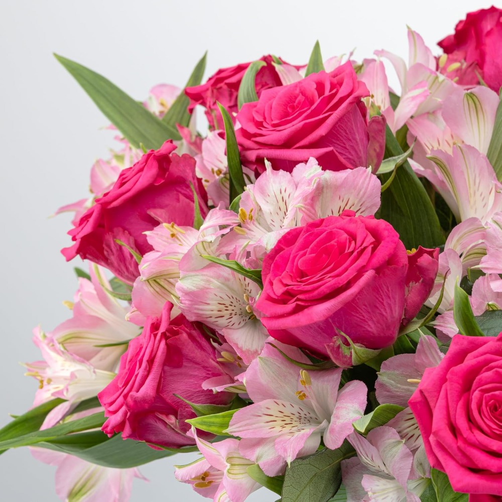 Elegant Rose and Alstroemeria  - Home Decor Tulip 评论和价格